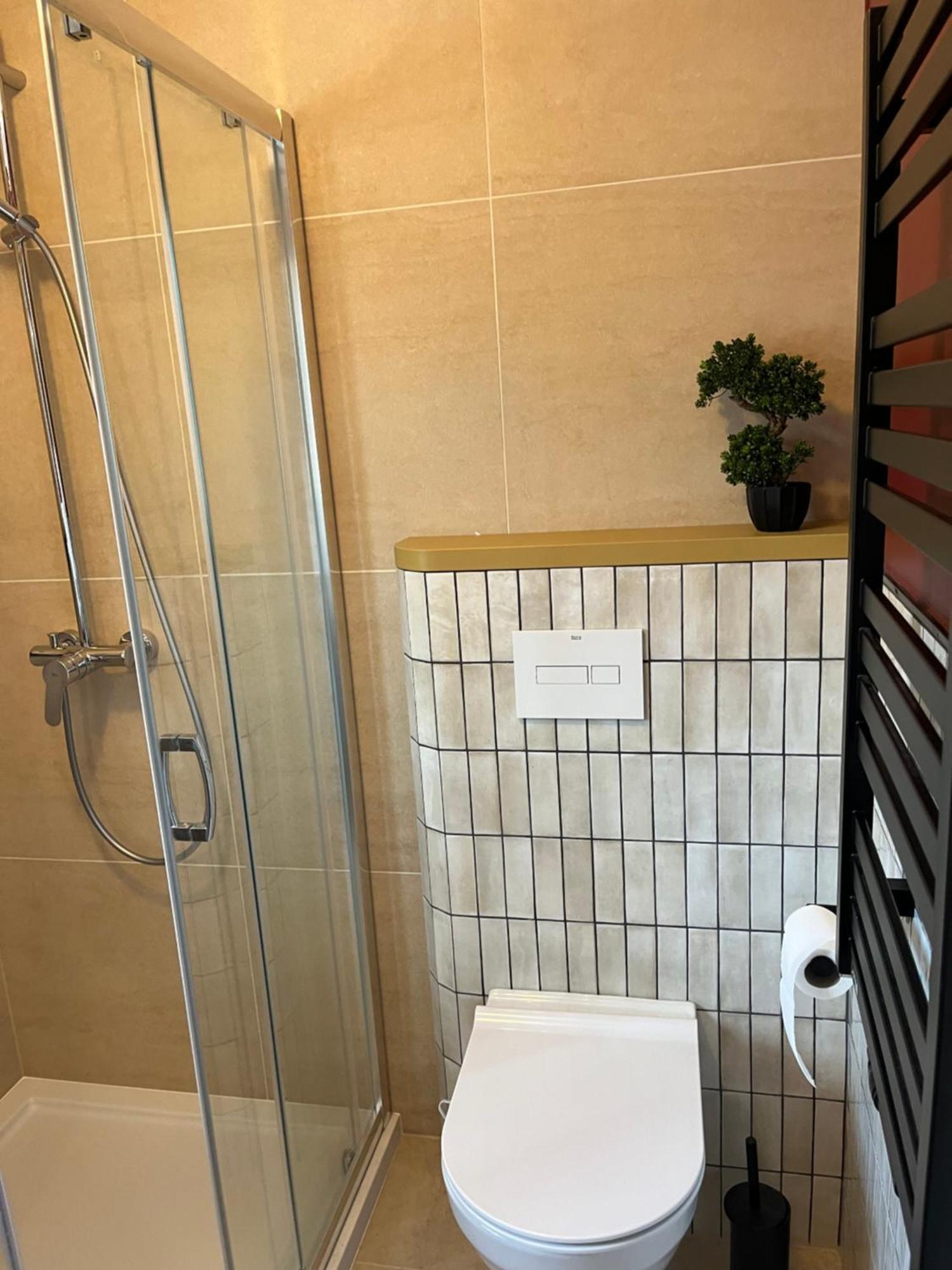 מוז'ינה Villa Turris Apartamenty Przy Muszynskim Zamku מראה חיצוני תמונה